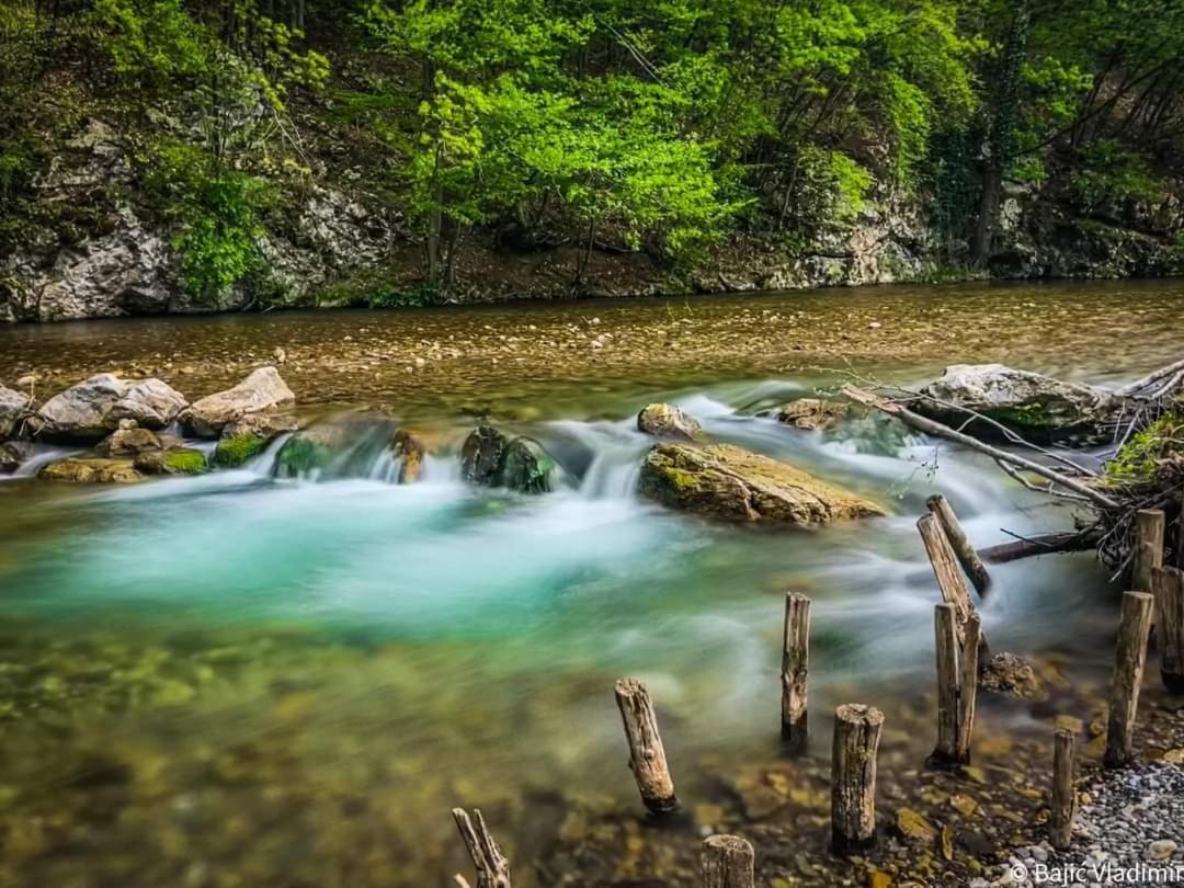 발제보 Poljoprivredno Turisticko Domacinstvo Deguric 아파트 외부 사진